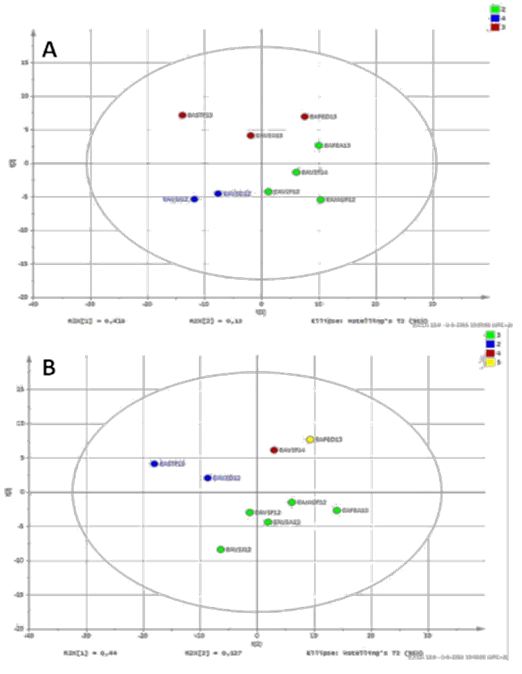 Identification of New Anti-Trypanosoma Cruzi Agents in Some Uruguayan Plants by NMR-Based Metabolomic Profiling
