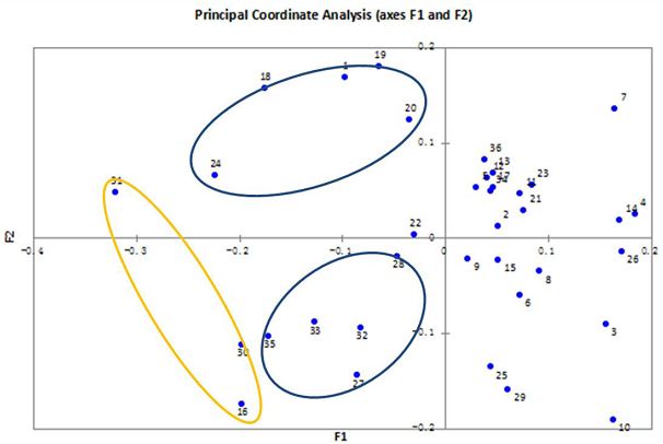 Genetic Diversity of Flower Lotus (Nelumbo Adans.) Cultivars Assessed by SSR Markers