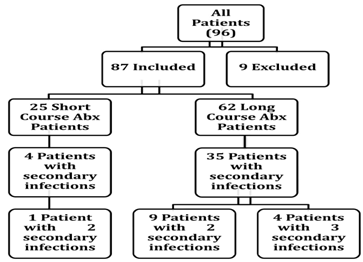 Antibiotic Use in The Open Abdomen