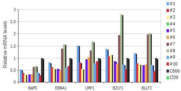EBV-dUTPase Modulates Host Immune Responses Potentially Altering the Tumor Microenvironment in EBV-associated Malignancies.