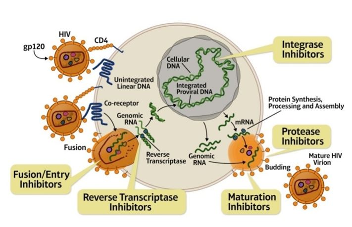 Advances in HIV Prevention and Treatment: A Literature Review