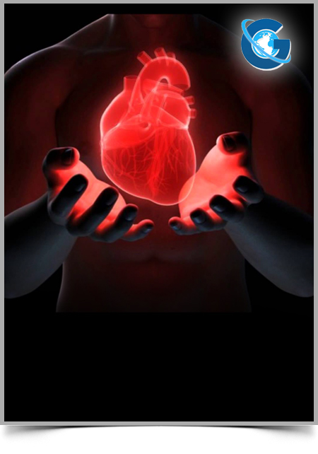 Ingestion of Goji Berry (LyciumBarbarum) Evaluation on Plasma Levels of Total Cholesterol, Lipid Fractions, Glycaemia, Serotonin and Arterial Pressure