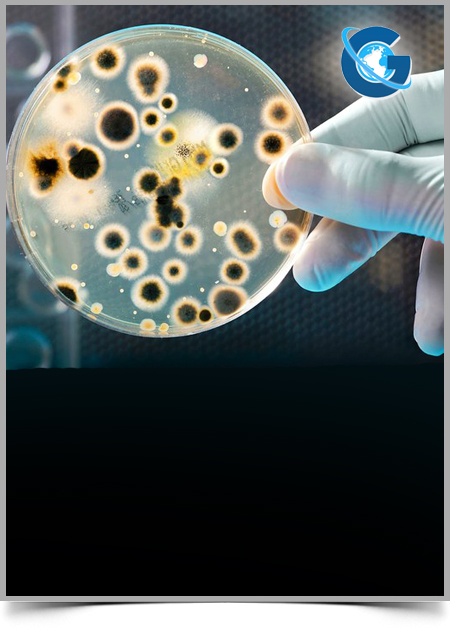 Big Data and Microbiology