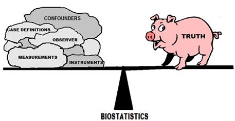 Journal Article: Scrutiny Points Guidelines