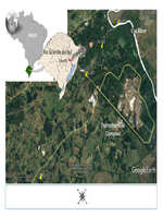 Highlighting Genotoxic, Teratogenic and Toxic Effects as Biomarkers for River Quality in a Petrochemical Industry Area