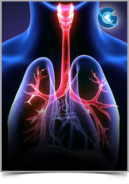 Factors Associated with The Quality of Life of Greek Patients with Chronic Obstructive Pulmonary Disease