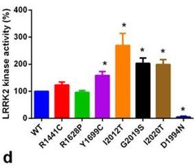 Assessment of Genetic Mutations in Genes Alpha-Synuclein (SNCA), Parkin (PRKN), Leucine-Rich Repeat Kinase2 (LRRK2 or Dardarin), PTEN-Induced Putative Kinase 1 (PINK1), DJ-1 and ATP13A2 Induced Parkinson's Disease (PD) in Patients Tabriz, IRAN