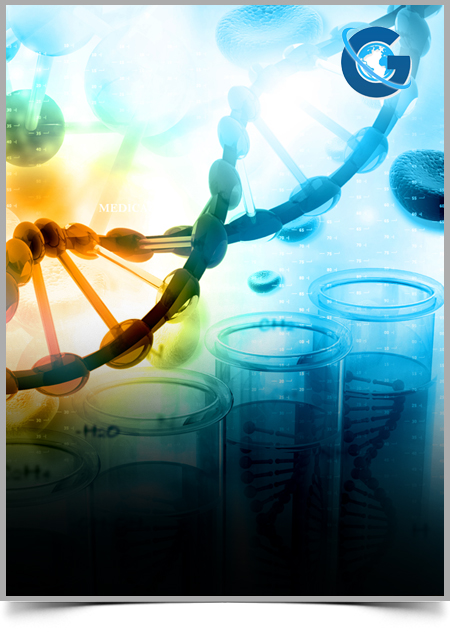 Genetic Analysis in the Diagnosis of Intellectual Disabilities in Adults