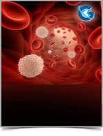 Do Iron Chelators Affect Fertility in Thalassemic Men?