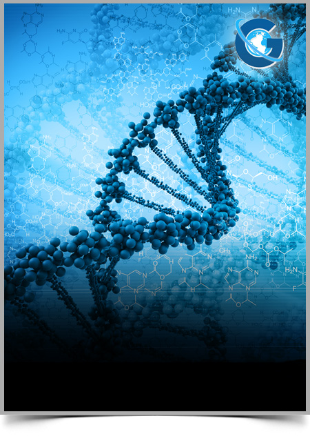 A Preliminary Molecular Approach for Characterizing Microorganisms Having the Potentials for Bioleaching of Iron Ore