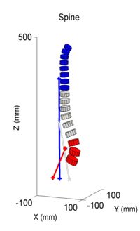Biomechanical Macromodel for Estimating Loads in Three Segments of the Spine during Lifting Tasks