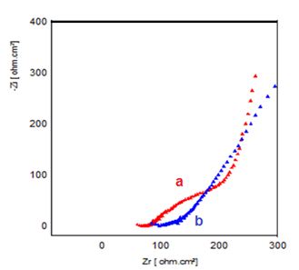 New Electrodes Based On Garlic for the Inhibition of the Free Radicals Effects