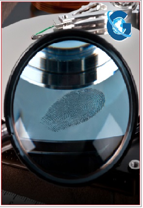 Institutionalized Forensic Patients in China: A Perspective of Criminal Procedure