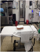 Total-Hip-Replacement-Using-the-Direct-Anterior-Approach-Review