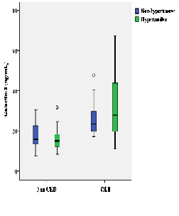 The Correlation of Serum Galectin-3 Level with the Staging of Chronic Kidney Disease Coexistent with Diabetes Mellitus and with Hypertension