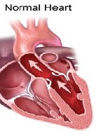 The Four Serious Complications of Vitamin D Deficiency in Infants