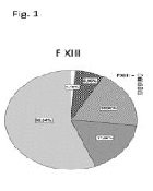 FXIII Deficiency Occurs Frequently in Major Trauma and Influences Transfusion Requirements While Levels of Von Willebrand Factor are well above Thresholds