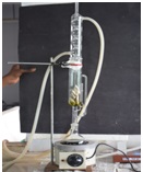 Bioprospecting of Salicornia europaeaL. a Marine Halophyte and Evaluation of Its Biological Potential with Special Reference to Anticancer Activity