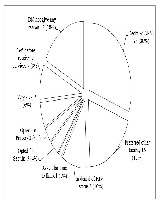 Uptake of PMTCT Option B-plusamong HIV-Infected Women Attending Antenatal Clinics and Labor WardsatMulago National Referral Hospital in Kampala, Uganda