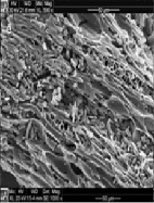 Assesment of De-Fluoridation in Waste Water Using Activated Biochar : Thermodynamic and Kinetic Study