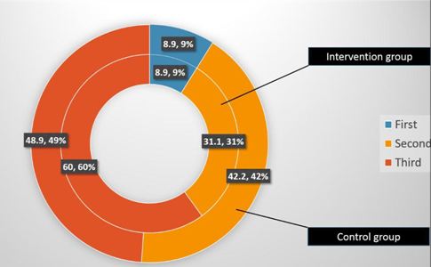 Utilization of Self-Care Brochure for Relieving Mother's Minor Discomforts during Pregnancy