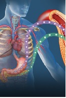 Medical Treatment of a Cystic Macroprolactinoma Mimicking Surgical Excision