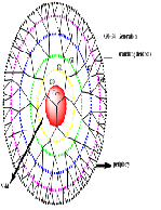Metallodendrimers as a Catalyst: An Overview