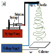 Fabrication and Raman Analysis of Aligned Electrospun PVDF Nanofibers