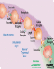 The Benefits of Genetic Addiction Risk Score (GARS™) Testing in Substance Use Disorder (SUD)