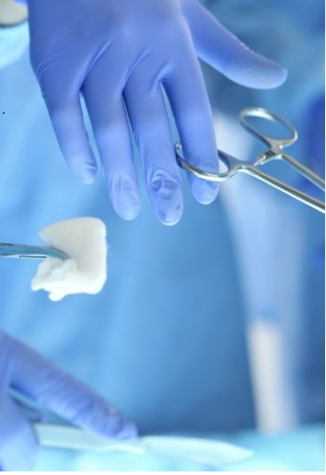 Sutures in Antiquity