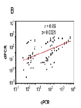Digital PCR Platform as a Tool to Determine the Canine Coronavirus (CCoV) Genome in Clinical Samples