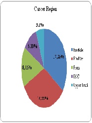 MetabolicSyndrome: A High Risk for Urological Malignancies? A Prospective Study