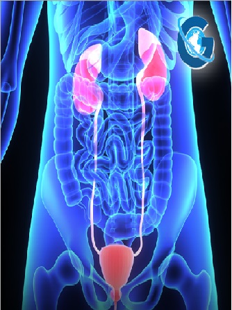 3D Printing in Urology, The Current Position, And the Future: Review Article