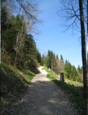 Does Age Have Different Influence Between Mountain and City Marathons? -An Analysis from Switzerland