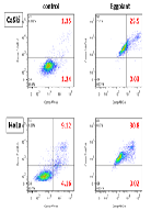 Successfully Applied the Ethanol Extract Prepared from the Calyx for the Treatment of Genital Condylomata Acuminate