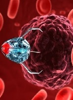 Biomaterials for Ocular Implants Following Radical Surgical Interventions