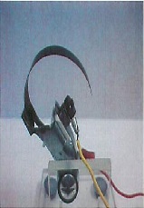 Soft Biomimetic Robotic Looped Haptic Feedback Sensors