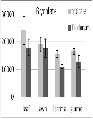 The Peculiarities of Carbon Metabolism in the Ears of C3 Cereals, : The Carbon Metabolism and Key Genes Expression in The Photosyn-thetic Active Components of the Ear of Cereals