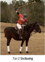 Swing Mechanics of the Offside Forehand in Professional Female Polo Athletes