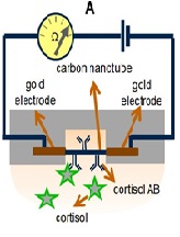 Biosensor-Bearing Wound Dressings for Continuous Monitoring of Hard-to-Heal Wounds: Now and Next