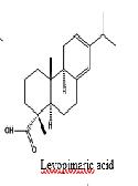 Biopolymers Based on Rosin
