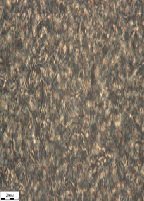 Synthesis of Polyurea Thickeners for Perspective Greases