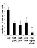 A Selective Matriptase Inhibitor Blocks Tumor Growth and Metastasis While Displaying Potent Antiangiogenic Activity in an Orthotopic Murine Renal Cell Cancer Model