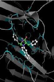 Homology Modeling, Docking and Structure Based Virtual Screening Against AcrB Efflux Pump of Multidrug Resistant Salmonella