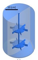A New Biomanufacturing Platform for Bioconversion of Plant Oils into High-Value Products