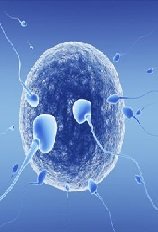 Situation of Sexually Transmitted Infections (STIs) in Sudan