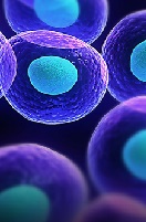 Use of Electronic Cigarettes Among Children and Adolescents