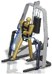 Optimization of Hip Location for Training Patients of Different Heights using One Gait Generation Mechanism