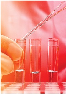 Synthesis of Potent Cytotoxic Analogs of Boswellic Acids