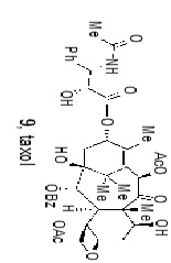The Total Synthesis of Naturally Occurring Compounds in the Development of New Drugs for the Diseases Treatment
